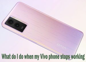 Vivo phone stops working