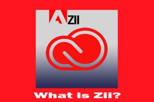 What is Zii